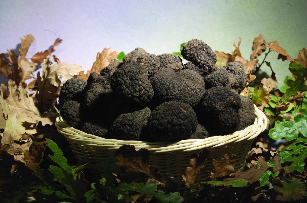 Cottoni Natural Space Valtopina المظهر الخارجي الصورة